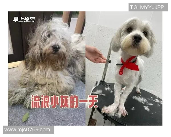 重庆滑板队的逆袭之旅：从街头到赛场的奋斗与荣耀